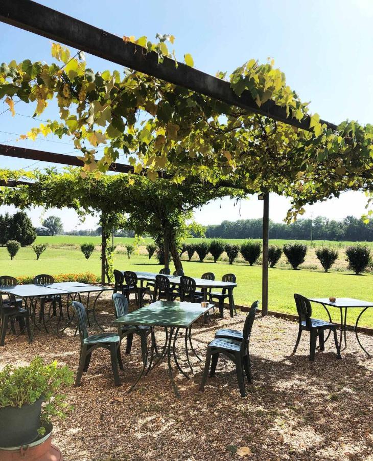 Agriturismo Le Colombaie Busseto Ngoại thất bức ảnh